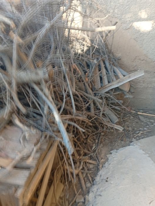 Тегын отын,Дрова тегын отын