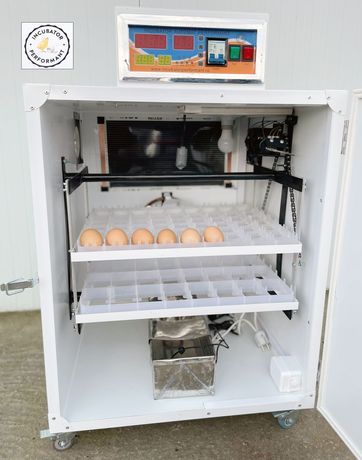 incubator automat oua