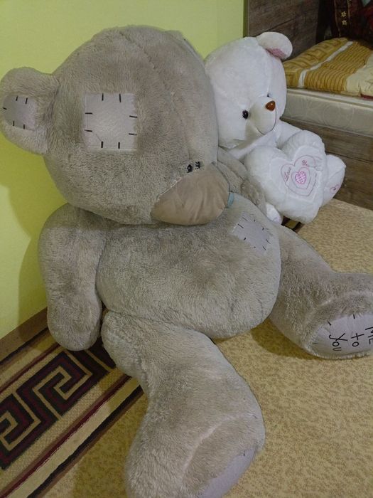 teddy ayiq sotiladi