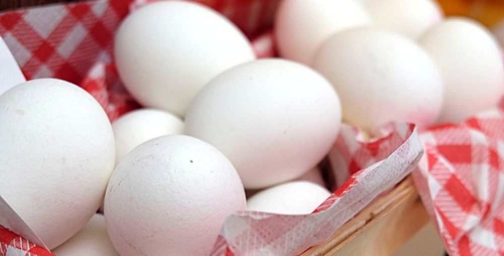 Pui~gaini~cocoși~rate