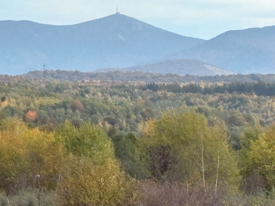 Vând teren construcție casă, sat Sârbești, jud. Bihor, 17 euro m2