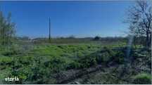 Oportunitate-Teren intravilan 5.000 mp-Chiajna, Jud. Ilfov