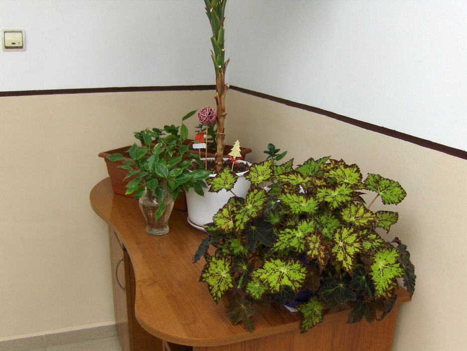 Hewlett Packard HP R927 - 8.2MPx