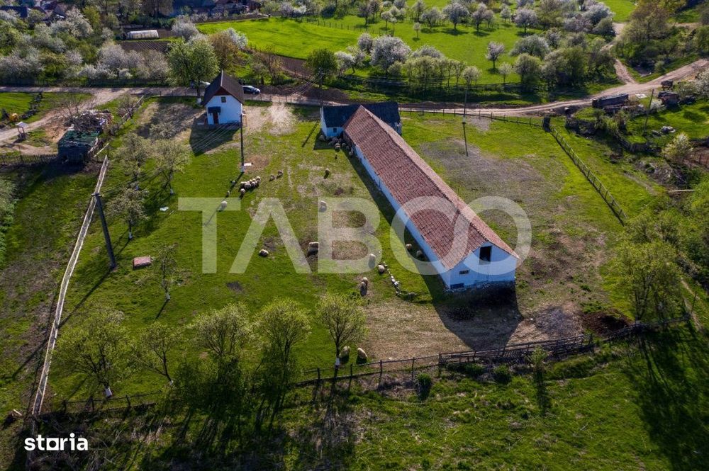 Microferma cu locuinta de vanzare in Pianu de sus