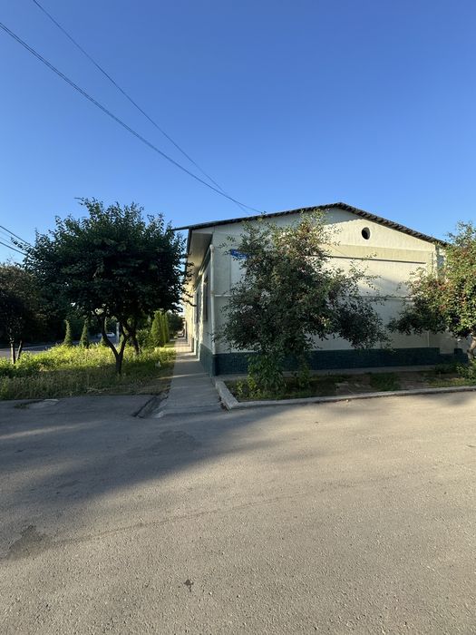 Shofayzda yo’li yuzida 3 sotu