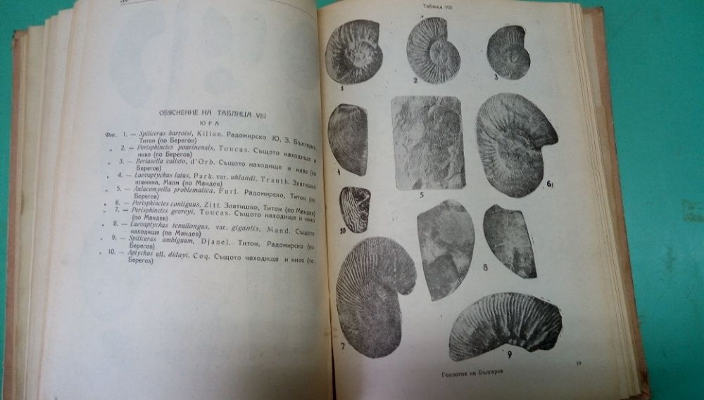 Основи на геологията на България - Сборник - издание 1946г.