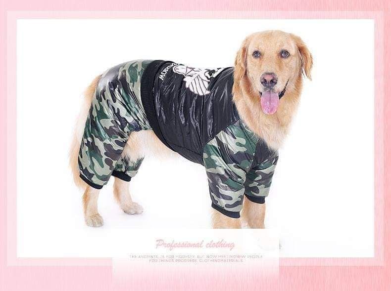 Дрехи за големи кучета