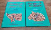 Pernkopf Anatomy vol. 1 si 2, editia engleza