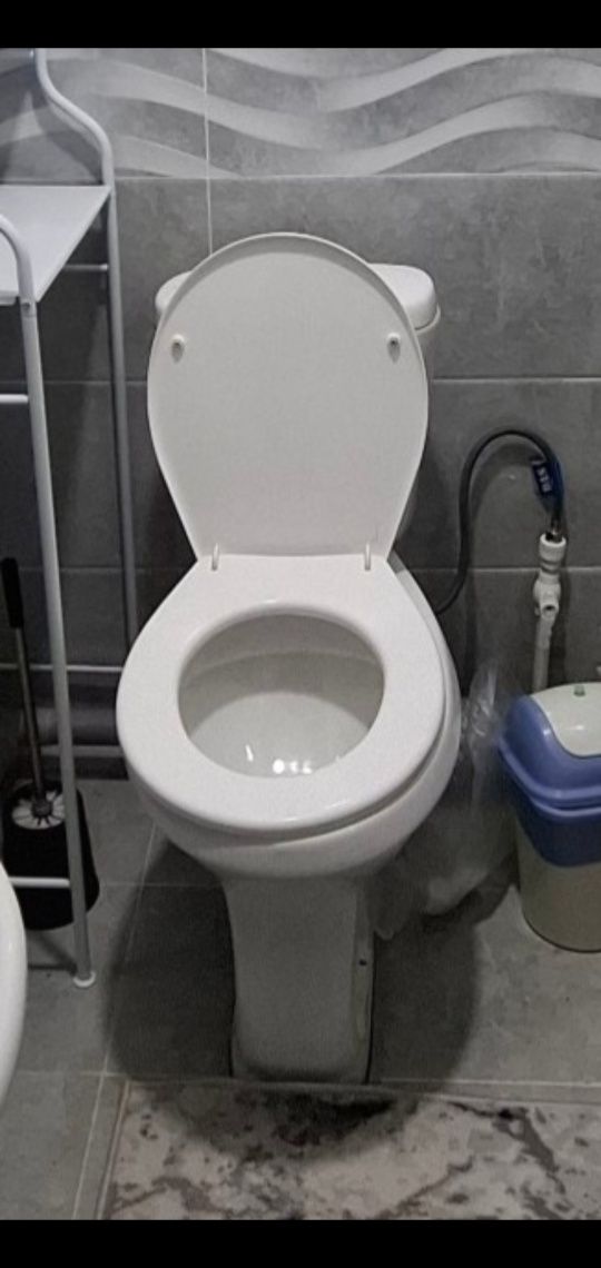 Самаунг унитаз 2