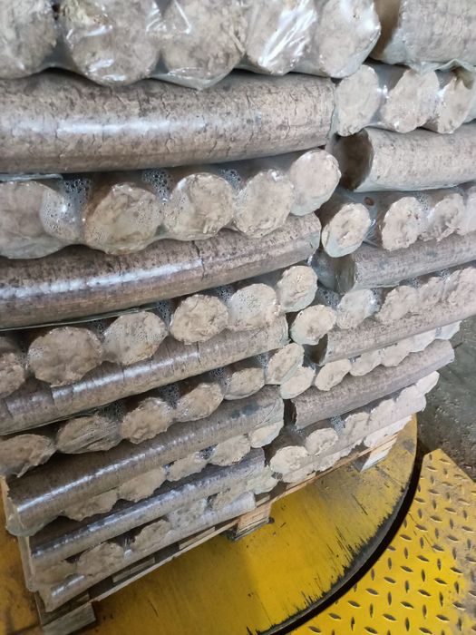 Brichete rumeguș fag!