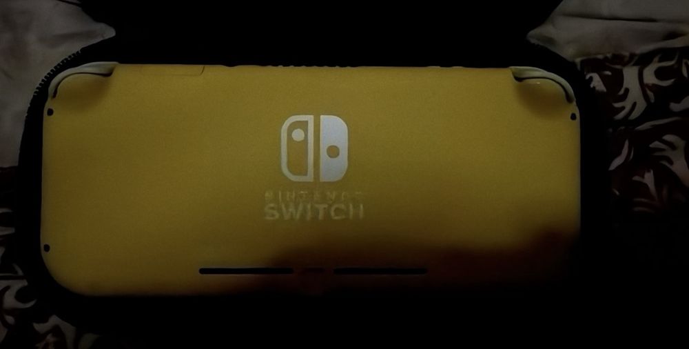 Nintendo switch lite