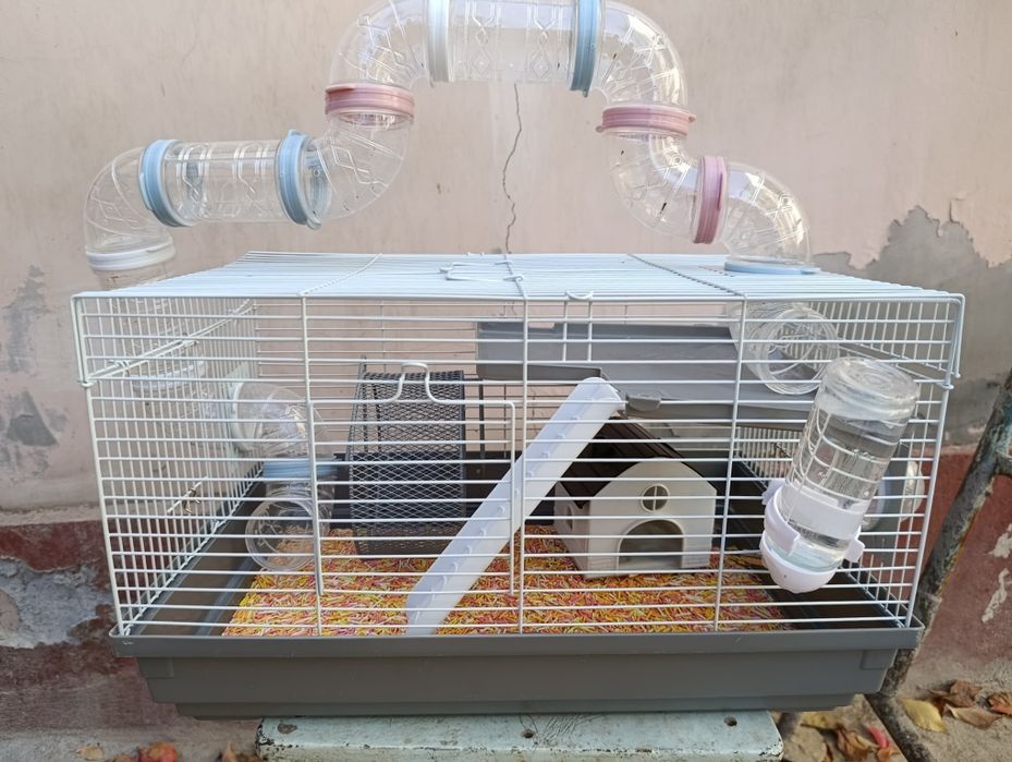 Продаю срочно !.Хомяков ,с клетками в месте .