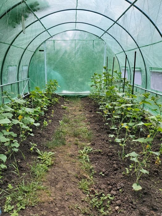 Vănd seră din imagine!