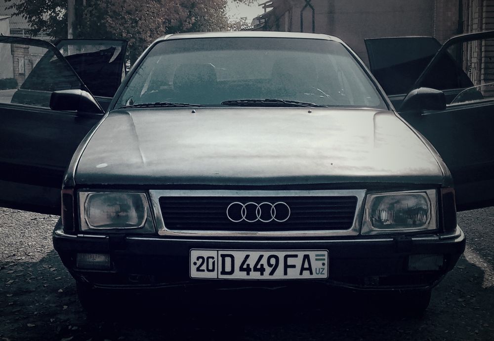 Audi 100 na xadu