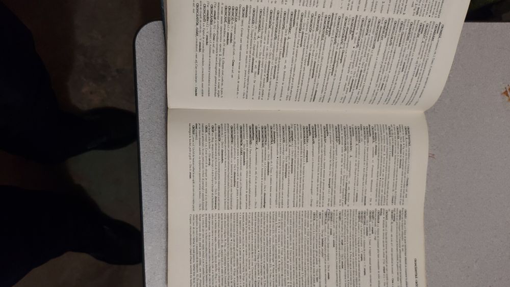 DEX Explicativ Roman
