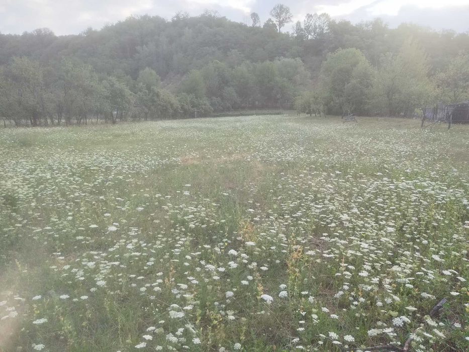 Vind 3500 / 5000m² teren intravilan Polovragi, Gorj