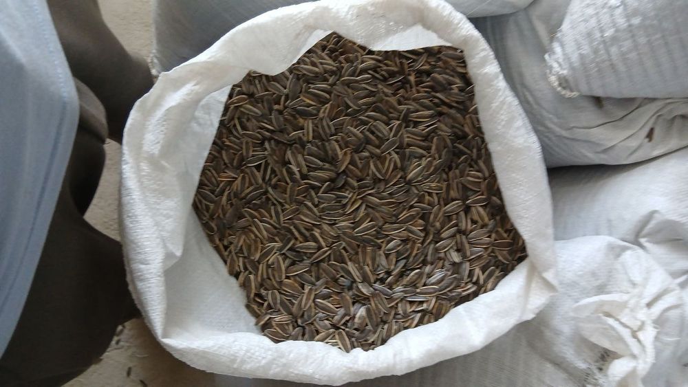 Mega semichka sotiladi