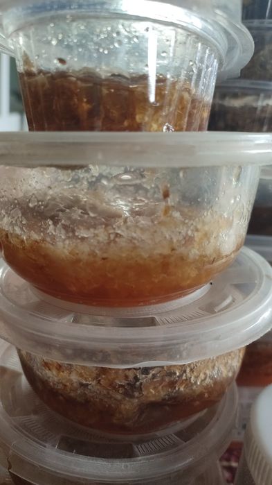 Горний мёд и прополис 
Цена за кг мёд 150тыс
Цена за кг прополис 200ты