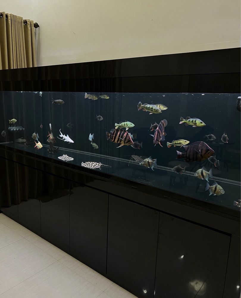 Аквариумы на заказ / Akvarium buyurtma assosida