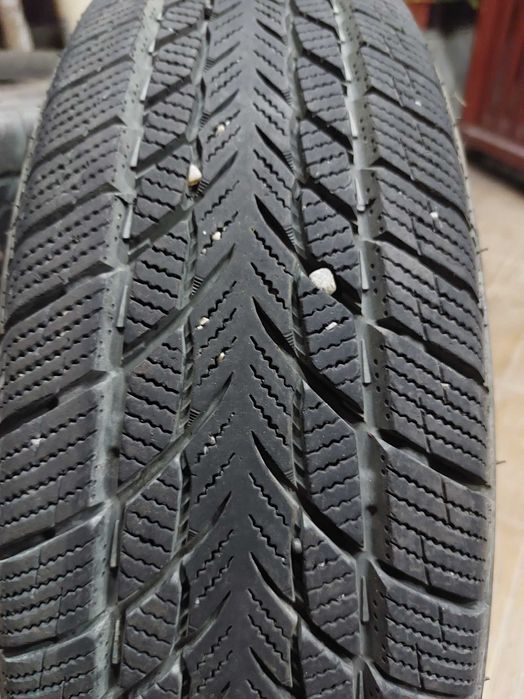 Anvelope iarna 175 70 r 14