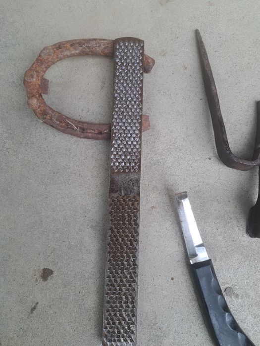 Scule / rașpel copite cai