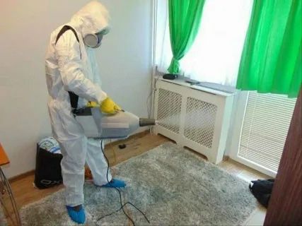 Дезинфекция дезинцекция кандала клопы таракан уничтожение
