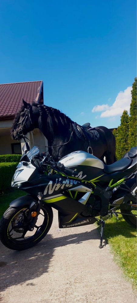 Motocicletă Kawasaki ninja 125 A1