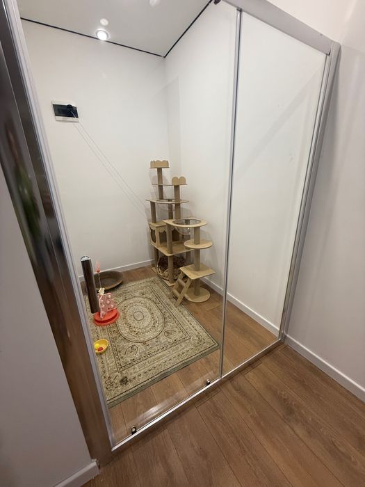 Зоогостиница NEKOTYAN передержка кошек грызунов