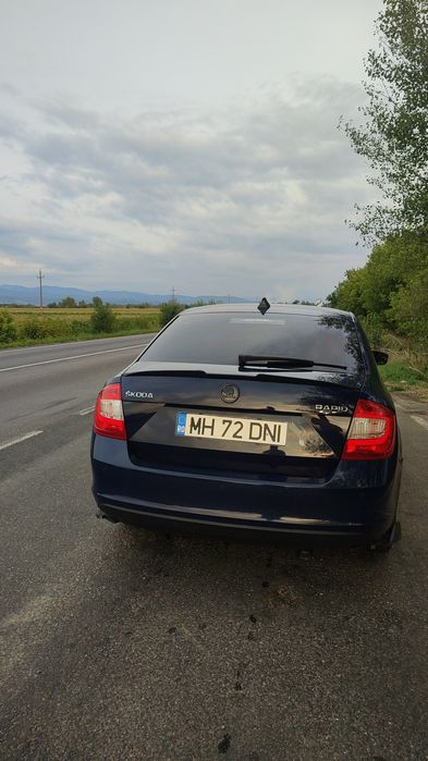 Vand Skoda Rapid 2017