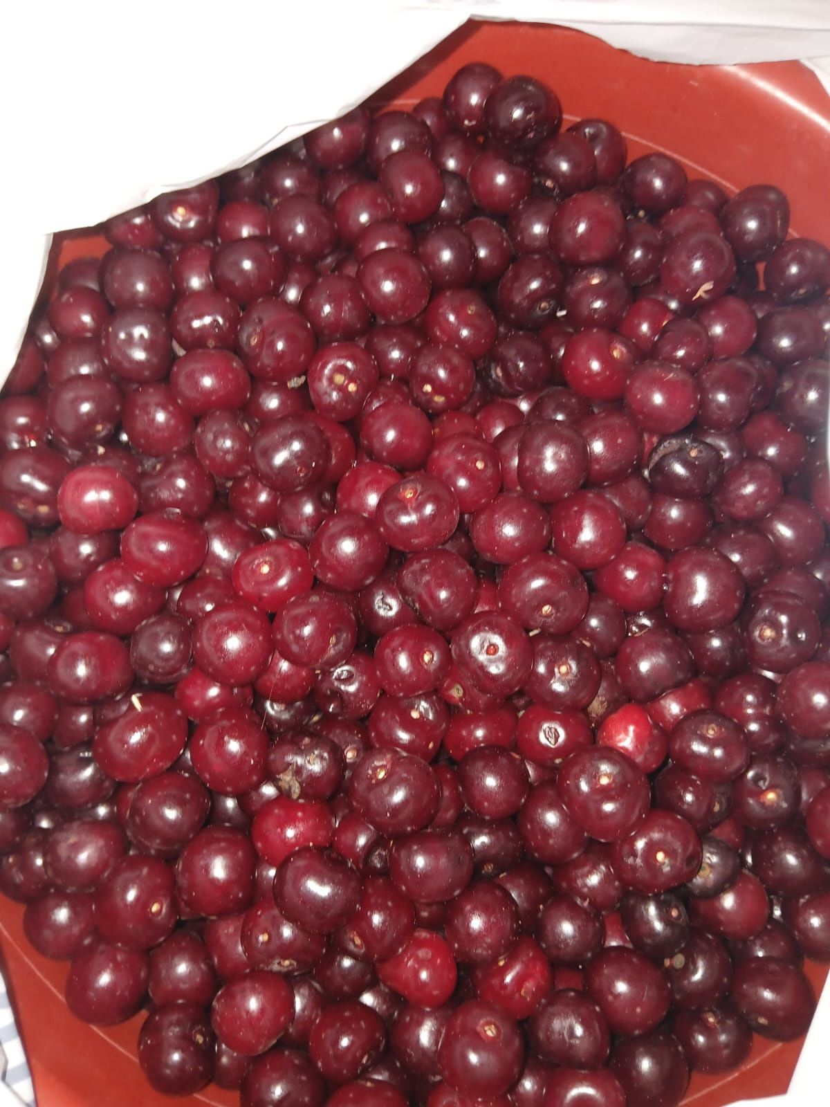 Продам дачную вишню(доставка/самовывоз)