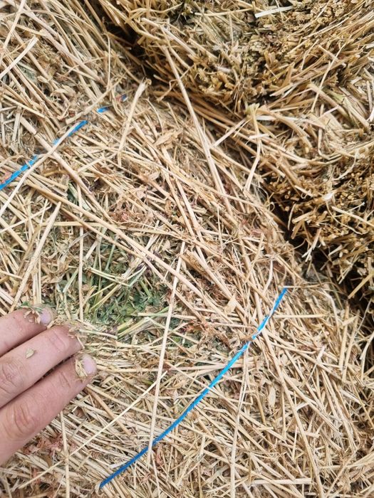 Baloți lucernă coasa a treia