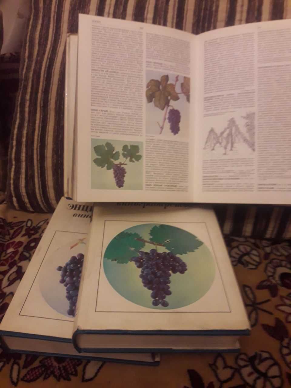 продам трехтомник энциклопедия виноградарства.