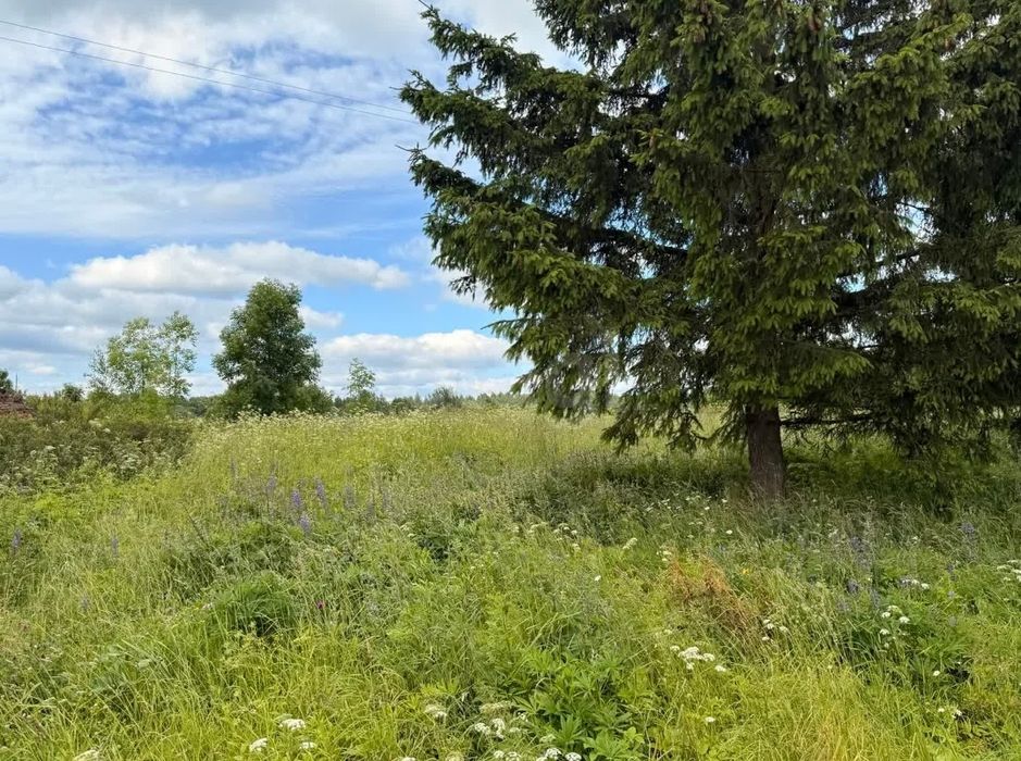 Продам дачный участок!