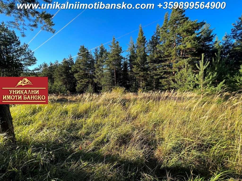 Продава се Парцел в Банско - 840 кв.м за 34 €/кв.м - Снимка #3