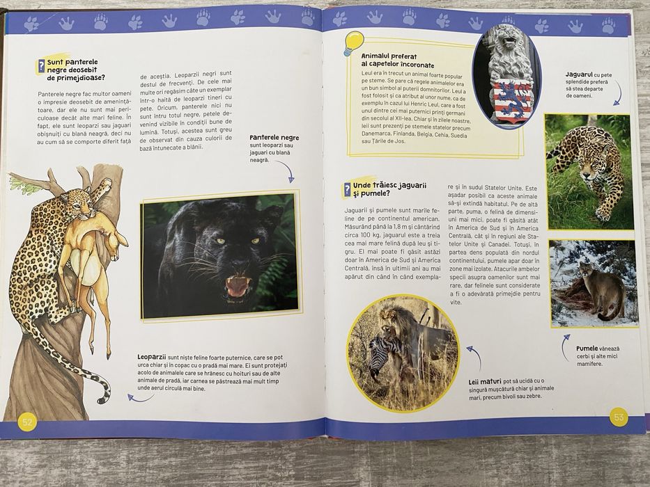 Cărți pentru copii