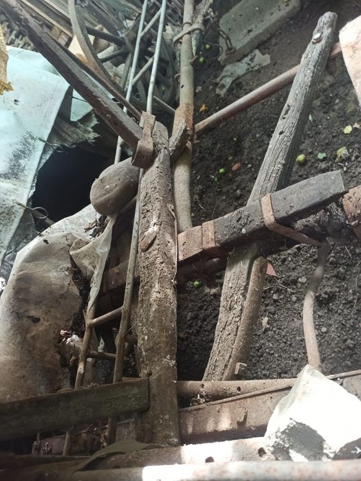 Car de boi 100% autentic