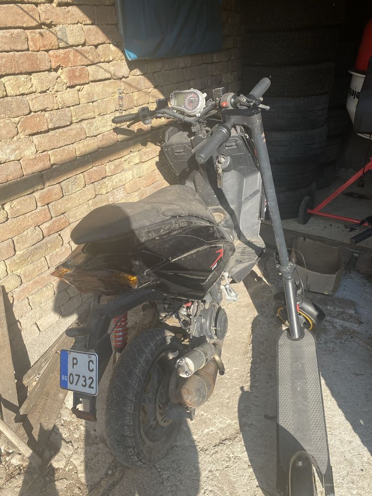 Benelli x49 2013