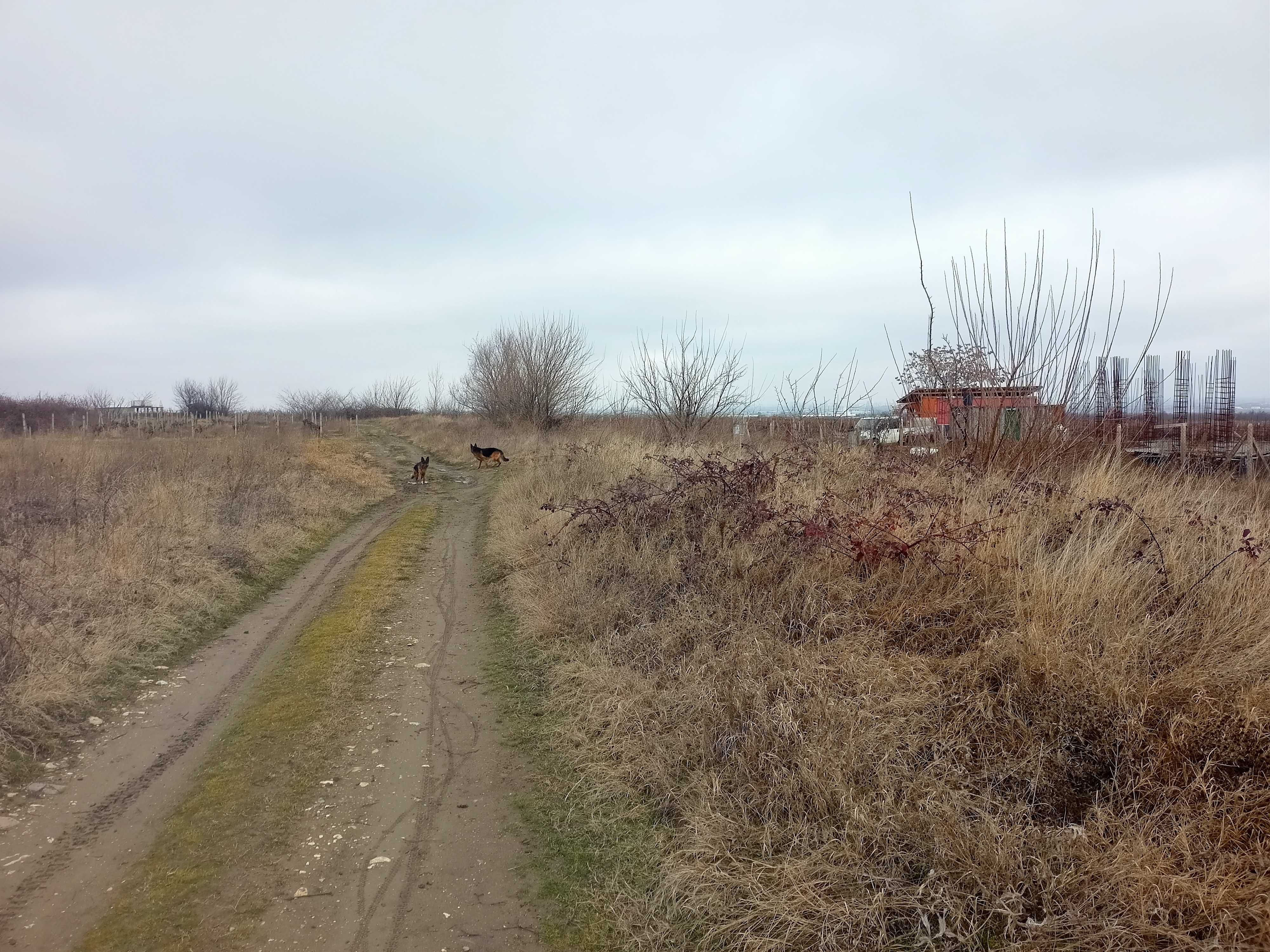 Земеделска земя ( парцел , лозе ) в с. Брестник .