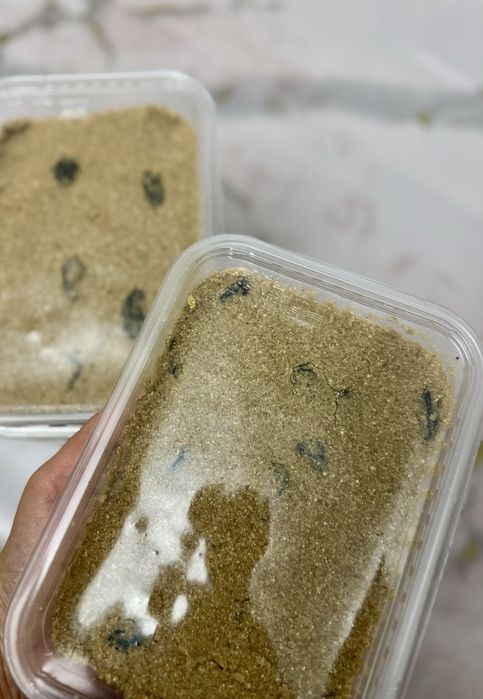 ЖЕНТ табиғи таза