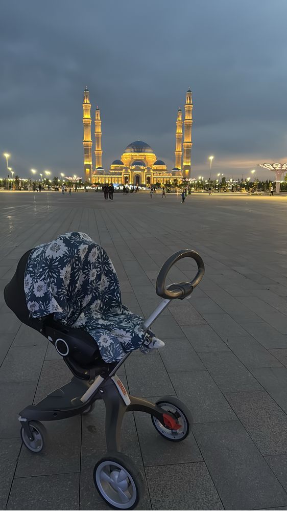 Коляска dsland аналог stokke