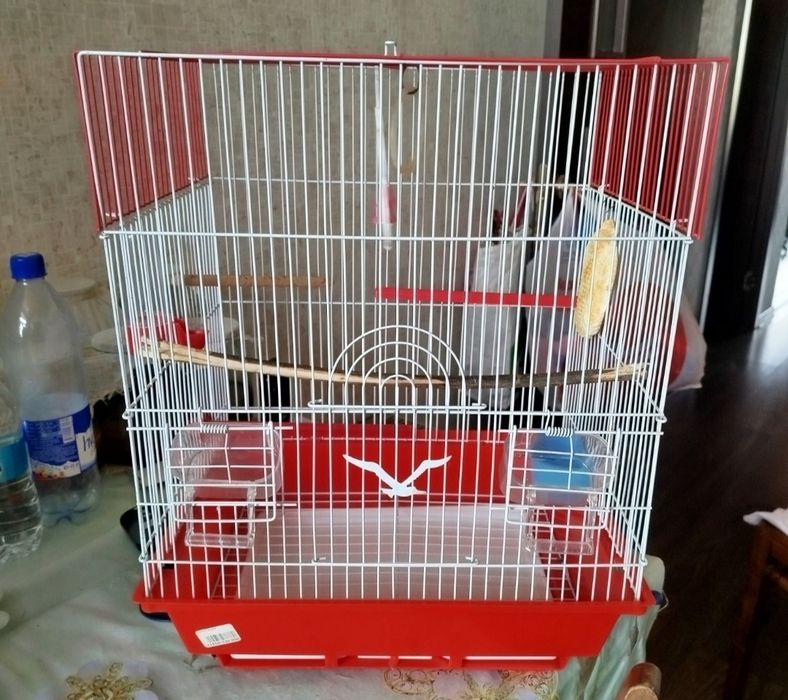 Клетки для грызунов и птиц
