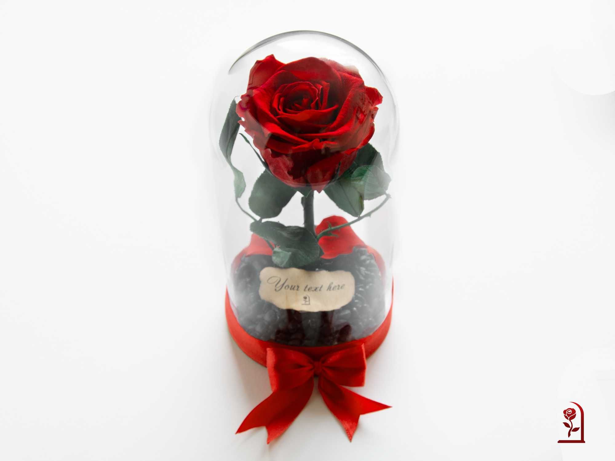 ЕСТЕСТВЕНА Вечна Роза в Стъкленица / Интересен Подарък за Рожден Ден