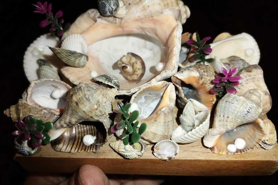 vor sa plece ...anintiri de neuitat