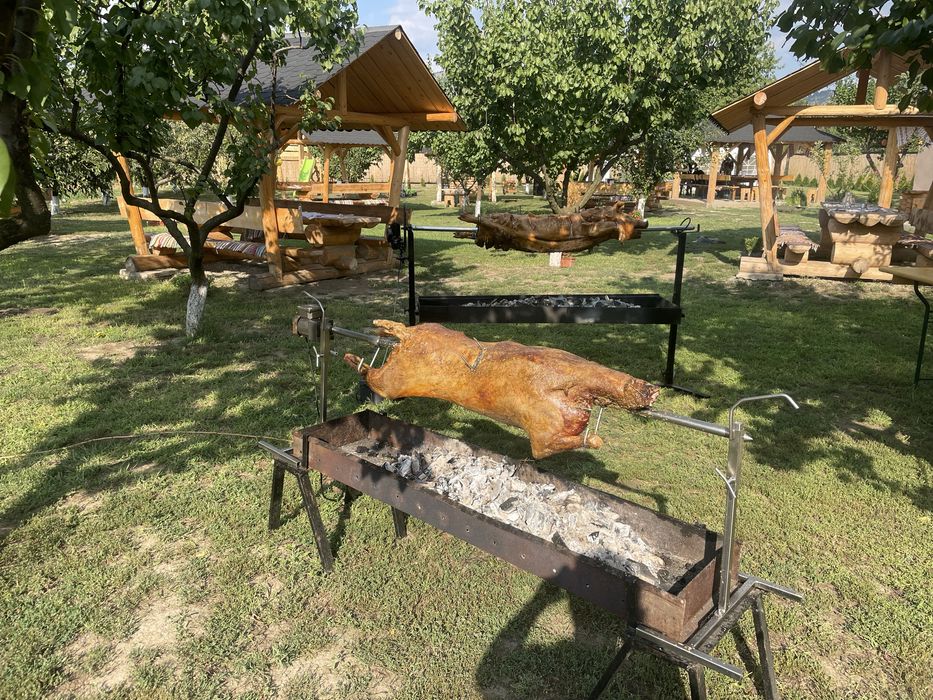 Vand rotisor bbq 60 kg , porc , pui , berbec