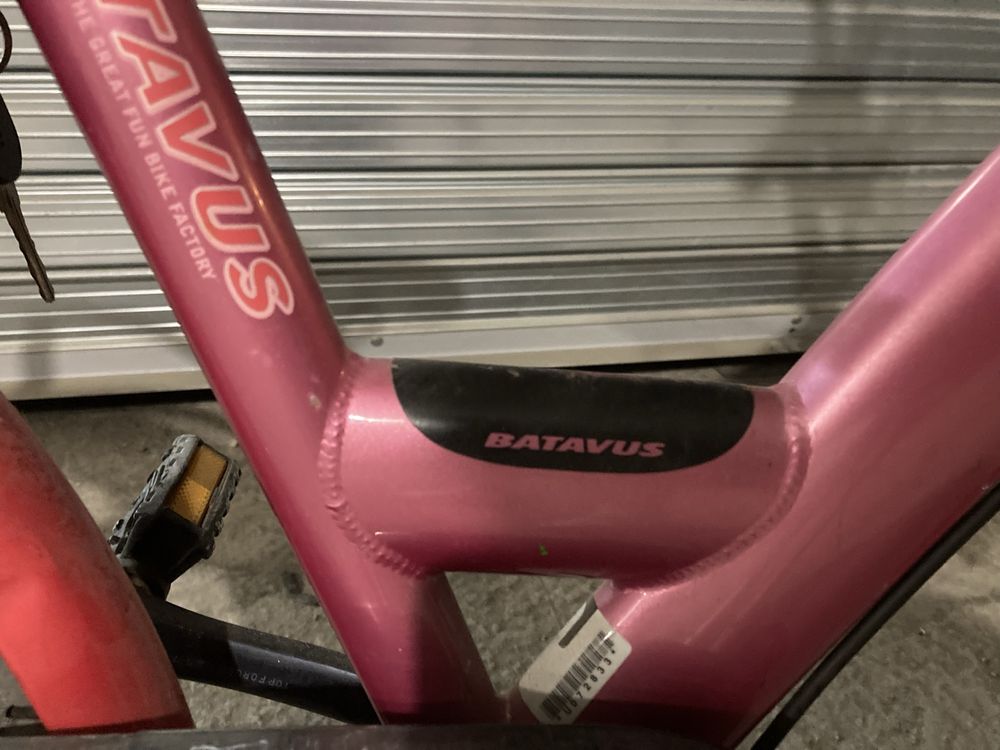 Велосипед за момиче Batavus Gabana 24”