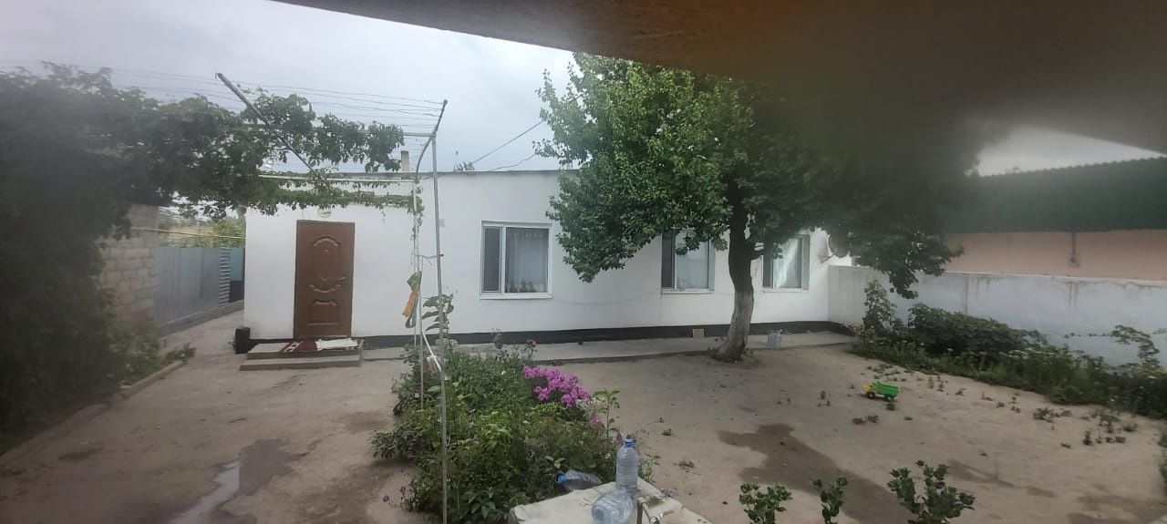 Продаются дом в толе би
