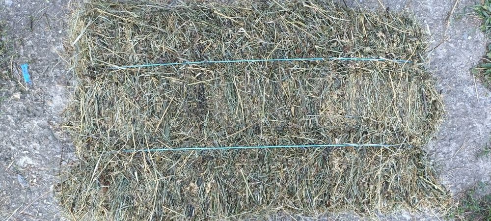 Vând baloți de lucernă