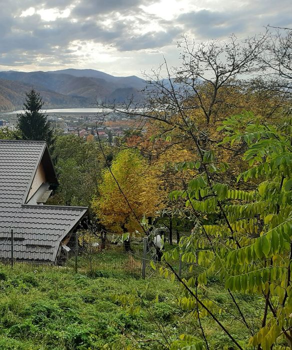 Teren Piatra Neamt 1357 mp