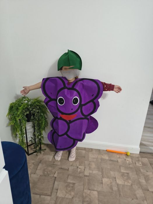 Costum carnaval toamna