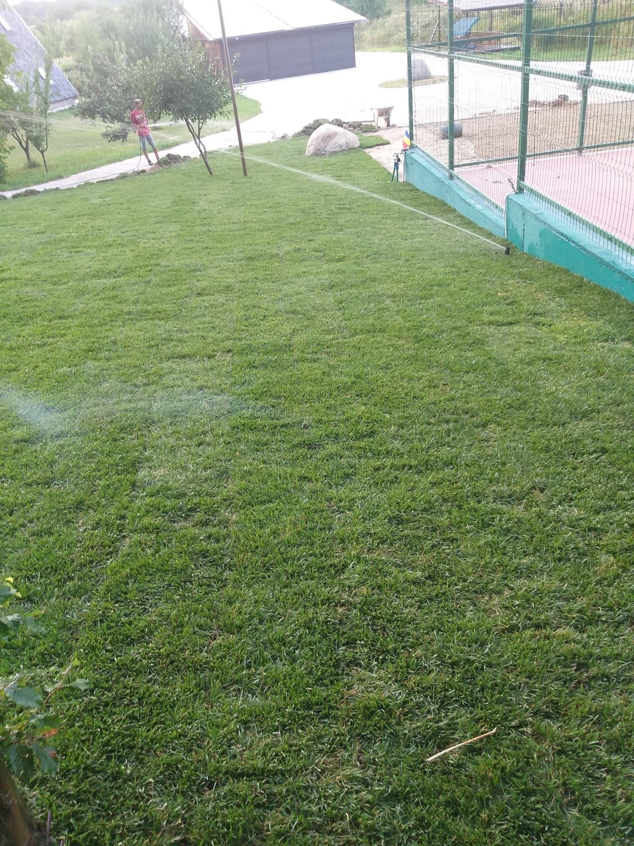 Vand si montez gazon rulou